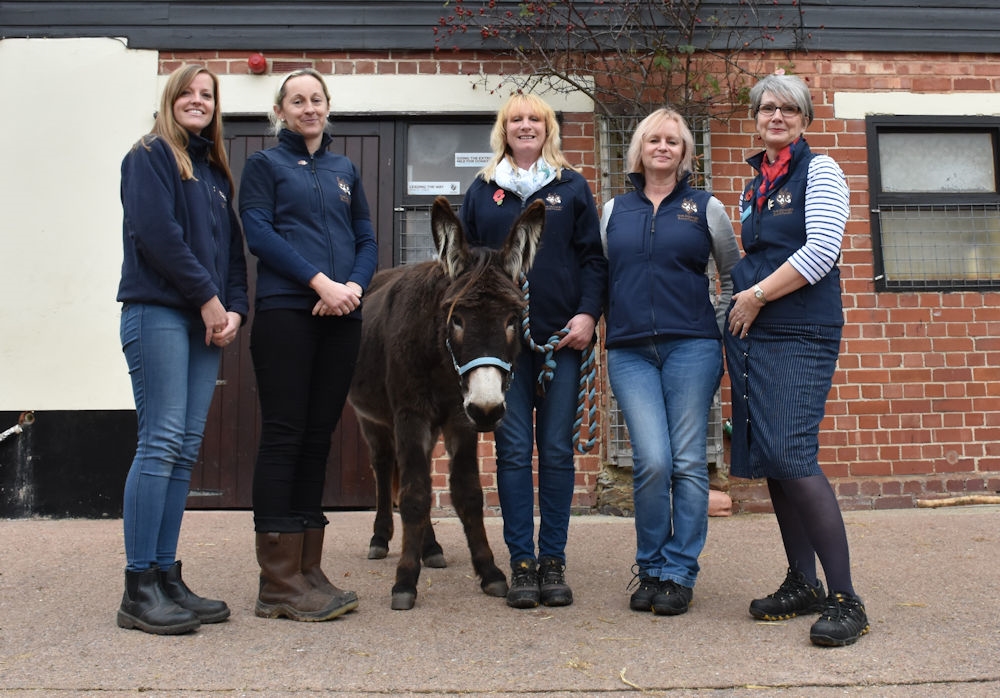 The Donkey Sanctuary Careers