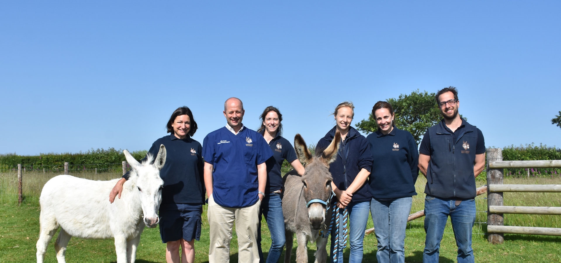 The Donkey Sanctuary Careers