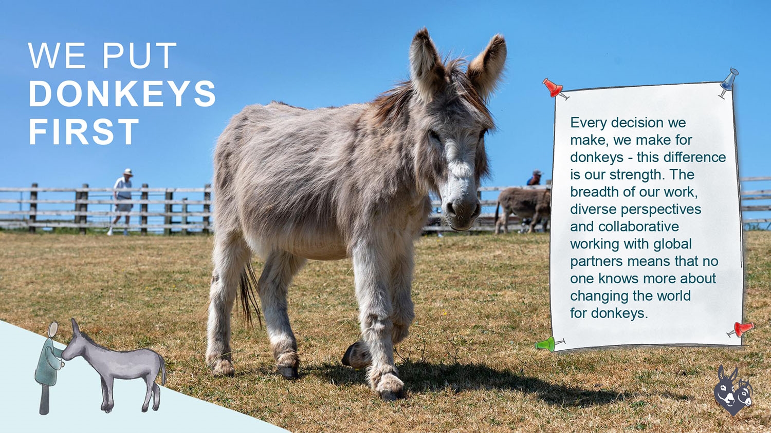We put Donkeys first